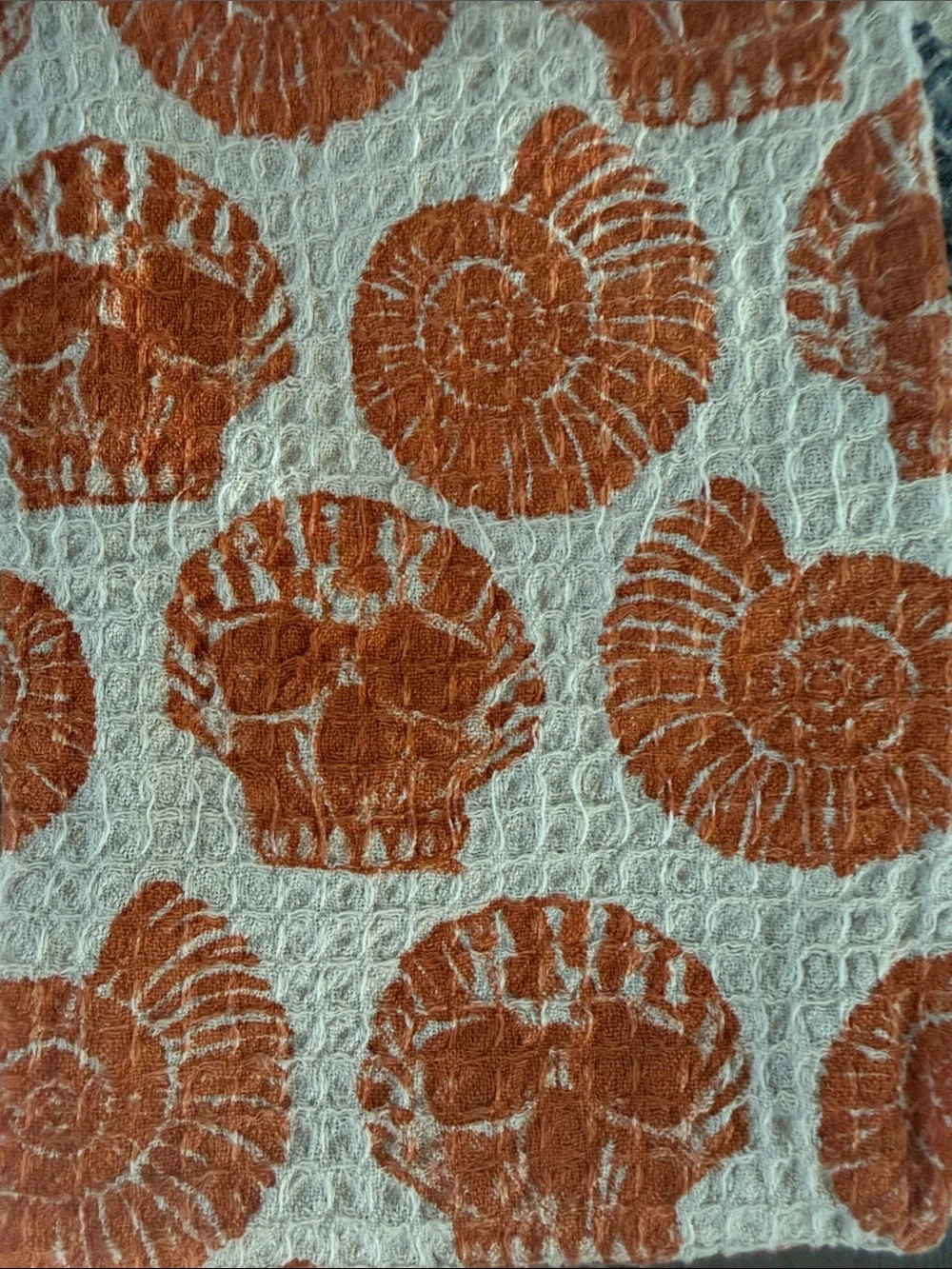 Kitchen Towel Set Waffle-Knit Skull and Sea Shell Design- Cream,Pink/Orange/Blue
